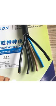上海百胜高柔性屏蔽拖链电缆 拖链电缆领域的特种电缆专家